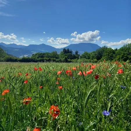 Frühstückspension La Meridienne - D'hotes Venterol (Alpes-de-Haute-Provence)